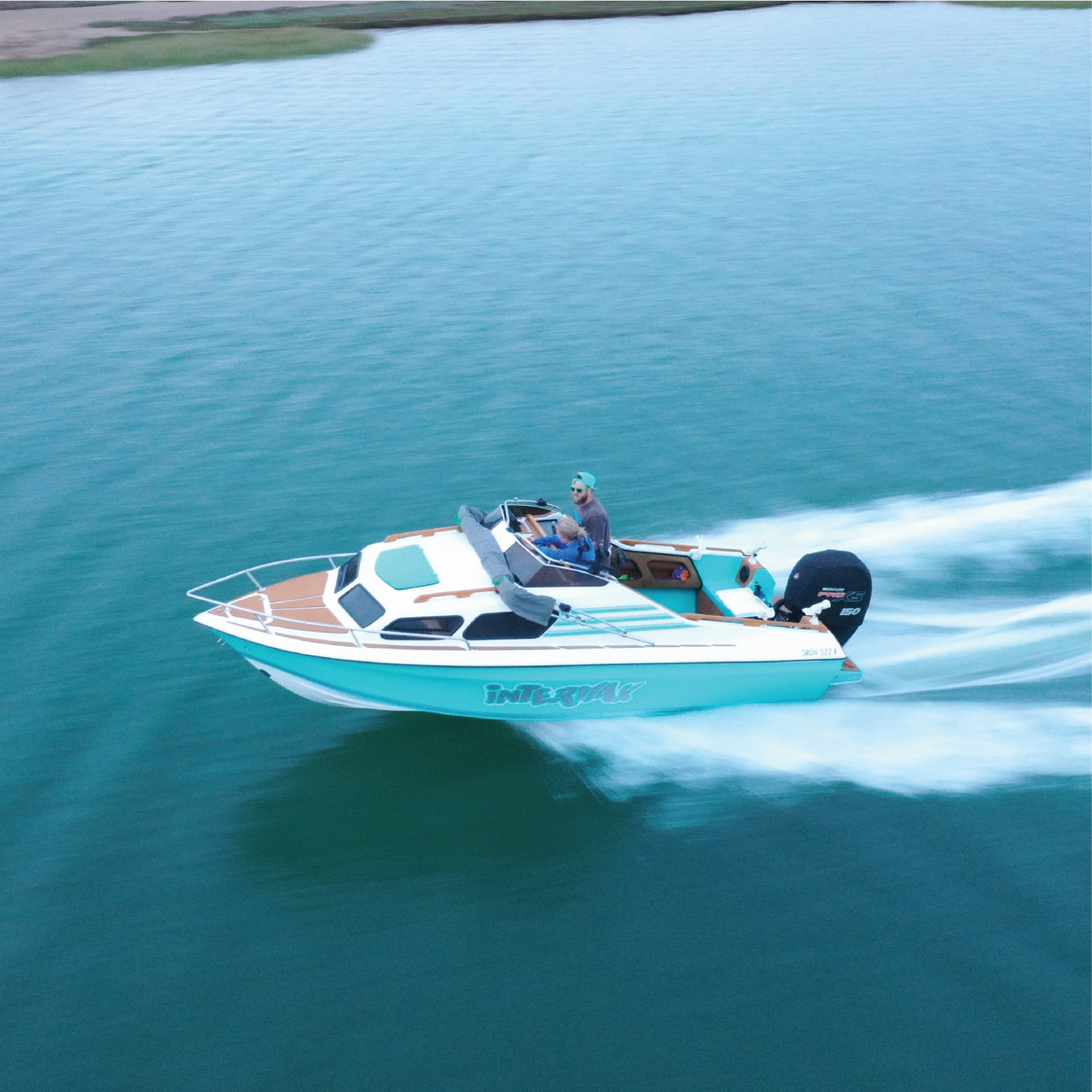 Boating gear Tidal Hook